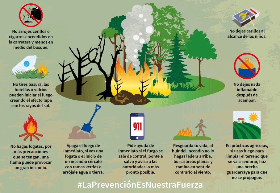 Prevencion De Incendios Forestales Somos Talent 5196